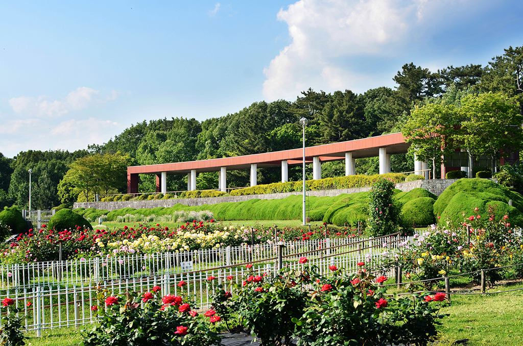 豊中市 自然環境とアクセスの良さ
