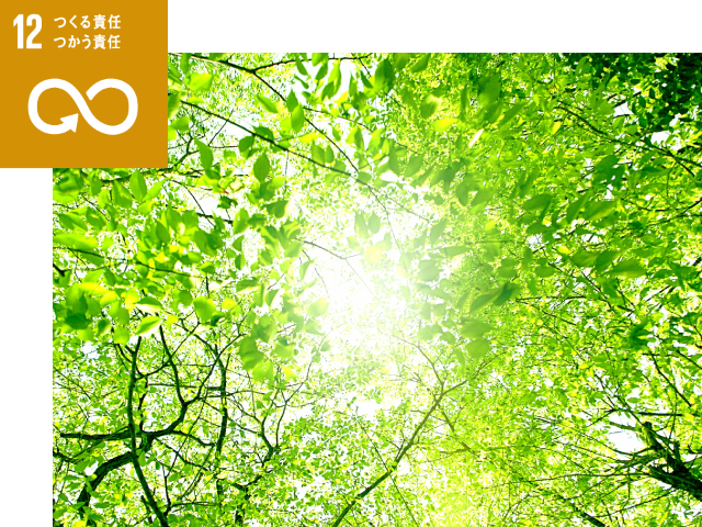 目標12：つくる責任つかう責任